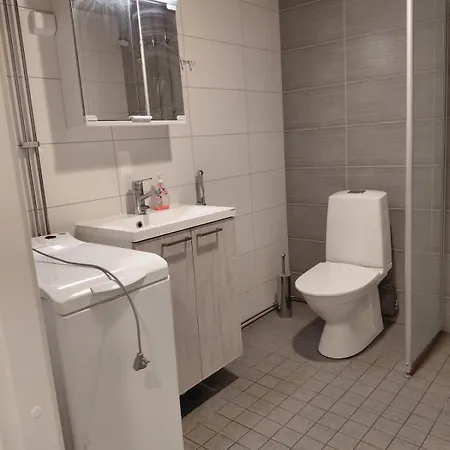 Viihtyisae Ja Tilava Keskustassa Daire Turku
